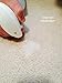 BLEACHSTAIN® Pro Spot Dye Kit | Restores Carpet Color from discolorations on All Shades and Colors of Nylon Carpeting