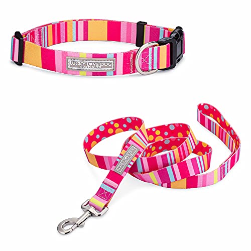 Lucky Love Dog - Easy Click Buckle Dog Collar with Leash Set Combo, Durable & Comfortable for Male & Female Dogs, Pet Collar for Small Dogs, Secure Fit - Molly Combo, Extra Small by Lucky Love Dog - Used condition - US$23.62