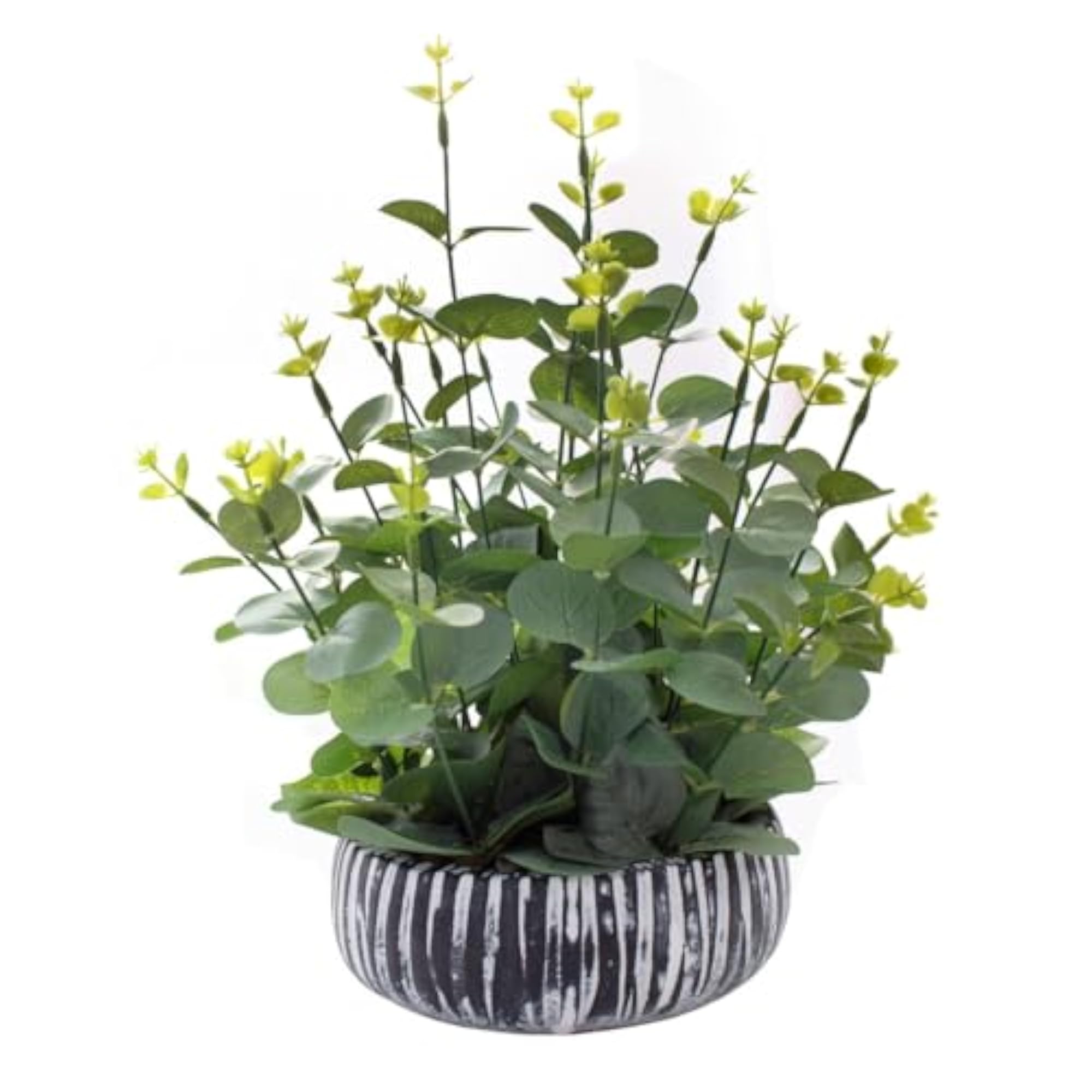Potted Eucalyptus Plant for Kitchen and Office Decor