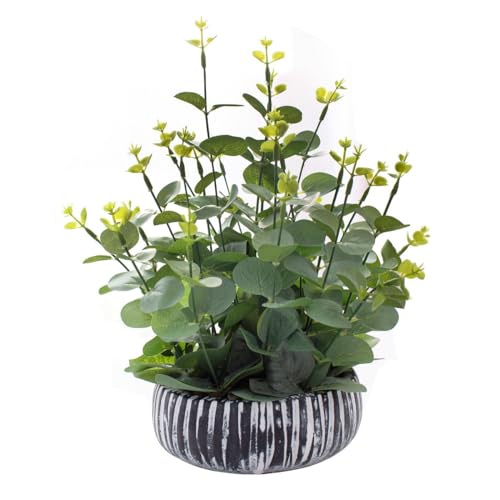 Artificialplantspottedreallookingsmallfauxplantwithrusticblackcementplanterforkitchenofficedeskbookshelfdecoreucalyptusplant Urban Country Home Decor Artificial plants potted real looking small faux plant with rustic black cement planter for kitchen office desk bookshelf decor eucalyptus plant urban country home decor