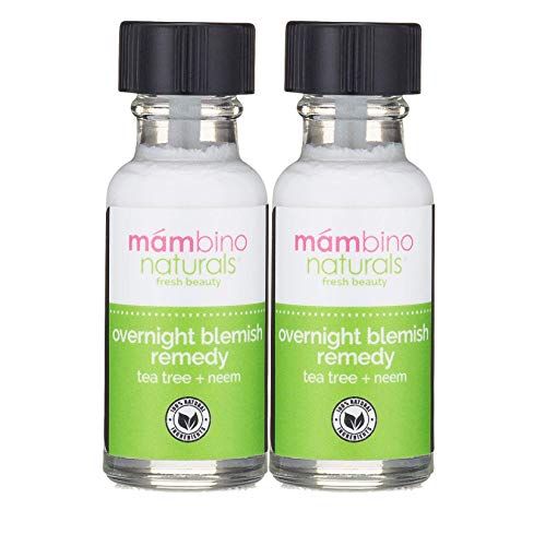 Best Skincare for Over 60: Age-Defying Secrets for Radiant, Mature Skin! 4 Overnight Blemish Solution Roll-On | Acne & Pimple Spot Care ...