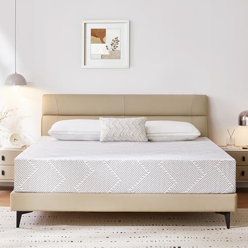 Nelaukoko 10 Queen Memory Foam Mattress with Cover