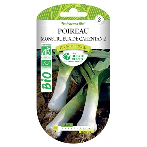 Graines de poireau monstrueux de Carentan 2 BIO Les Doigts Verts