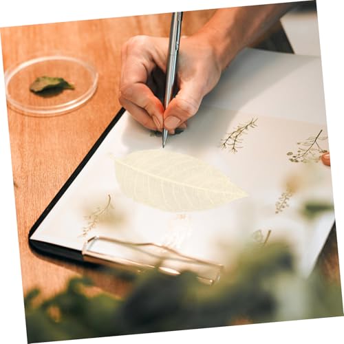 60 hojas secas naturales para artesanía y marcadores miniatura 6