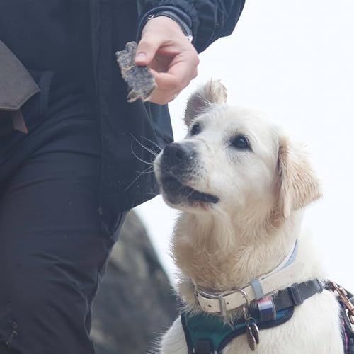 SKIPPER'S Wolf Fish Skin Flatties - Air Dried Grain Free Dog Treats, Healthy & Long Lasting Natural Dog Dental Chews, High in Protein with Essential Omega 3 & 6 Oils | Great for Teeth Regular (250g) - Image 5