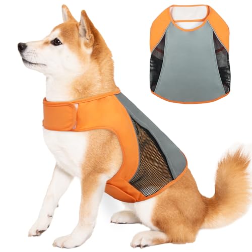 DENTRUN犬 服 犬用 反射ベスト 安全ベスト Tシャツ 中型犬 ペット服 軽量 通気 快適 調整可能 着脱簡単 通年 夜間 お出かけ お散歩(オレンジ, XL)