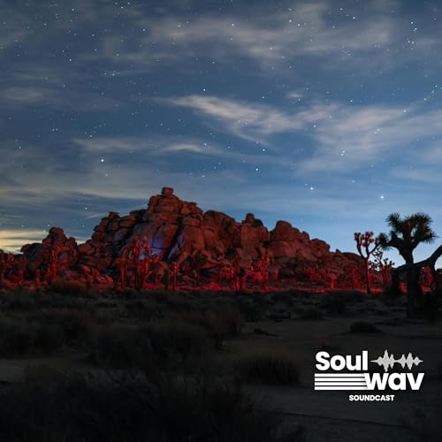 🌵 Desert Night – Wildlife & Cool Breezes Under the Stars 🌙