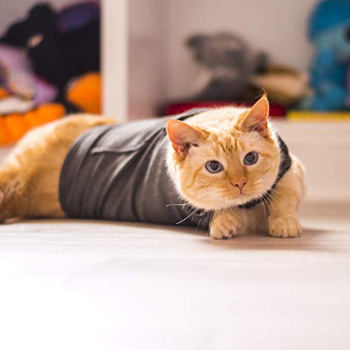 Thundershirt For Cats #TOP3