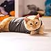 Thundershirt Classic Cat Anxiety Jacket, Heather Gray, Medium (9 to 13 lbs), THU-009