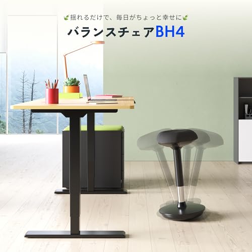FLEXISPOT バランスチェア BH4