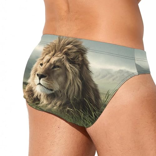 Lion Men's Swim Briefs Low Waist Bikini Swimsuit Underwear Beach Swimwear3