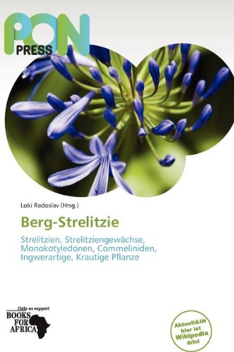 Berg-Strelitzie: Strelitzien, Strelitziengewächse, Monokotyledonen, Commeliniden, Ingwerartige, Krautige Pflanze