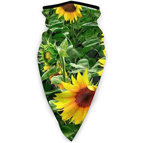 Stv X[vXCb`t 1000[h v sbN U}OlbgXgbv Stg[igΉ @ ? ? ?(1000Yards)