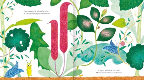 Stai Tranquillo, Piccolo Bruco. Ediz. A Colori - 2