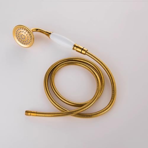 Ensemble de pommeau de douche et mitigeur marron ancien pour baignoire vintage