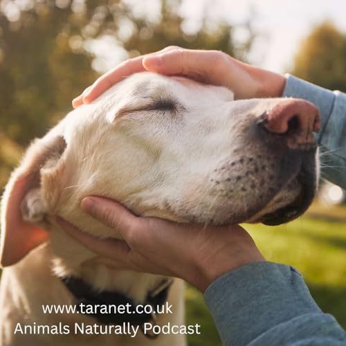 Help Your Pet Live Longer with Dr Kevin Toman