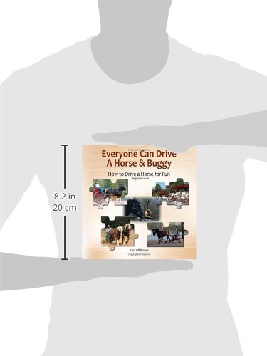 Everyone Can Drive a Horse and Buggy: How to Drive a Horse for Fun - Beginner Level