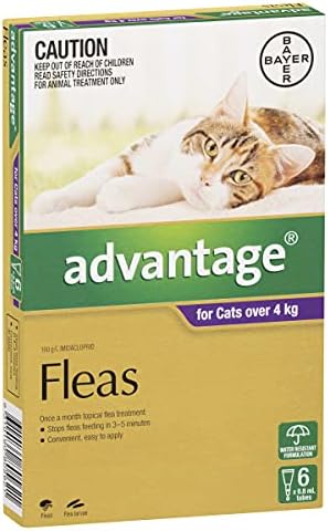 advantage large cat 6 pack