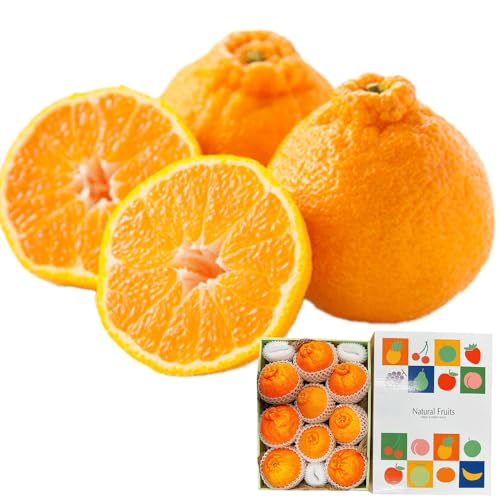 大将季（だいまさき）不知火 ご自宅用大玉5kg