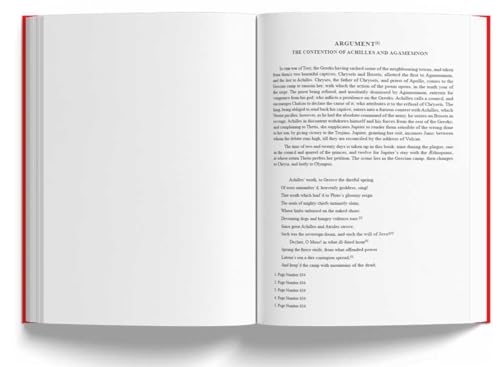 Image of HOMER: The Iliad and The Odyssey (Deluxe Leatherbound edition)