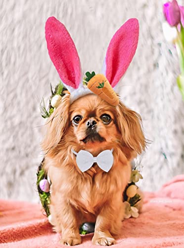 Disfraz de orejas de conejo y pajarita para perro miniatura 6