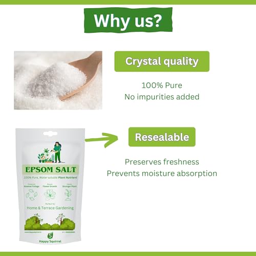 Image of Epsom Salt for Plants | 100% Pure Organic Fertilizer for Plants Home Garden | Plant Booster for Speed Growth | Promotes Green leaves, Flowering, Fruits (375 Grams)