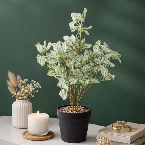 Image of Habere India-All the Cultures Fabricating India Arrowhead Artificial Plant with Pot for Home Decor | Small Fake Flower Plants for Living Room & Indoor Decoration (Design04: L9 x W9 x H40 cm)