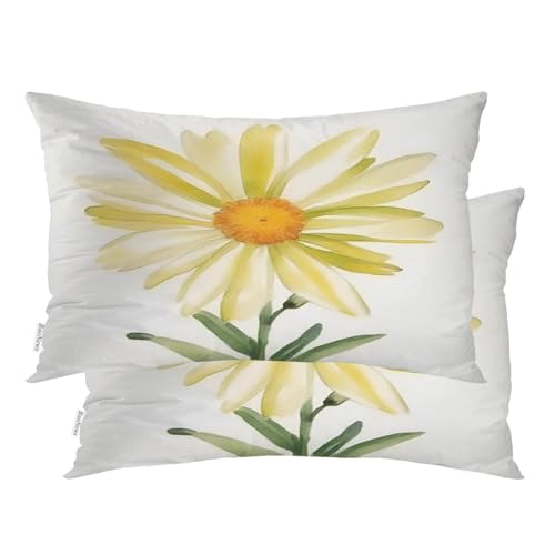 Baonews Flower Petals Center Pillowcases, A Beautiful Daisy Painted Bed Pillow Cover Digital Blended Hidden Zipper for Hair Skin Lumbar 20X26 in 2 Pcs