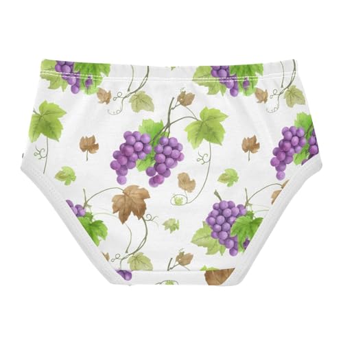 Watercolor Purple Grapes Leaves Panties Little Girl Toddler Underwear Floral Cotton Personalized Briefs Kids Undies 2t2