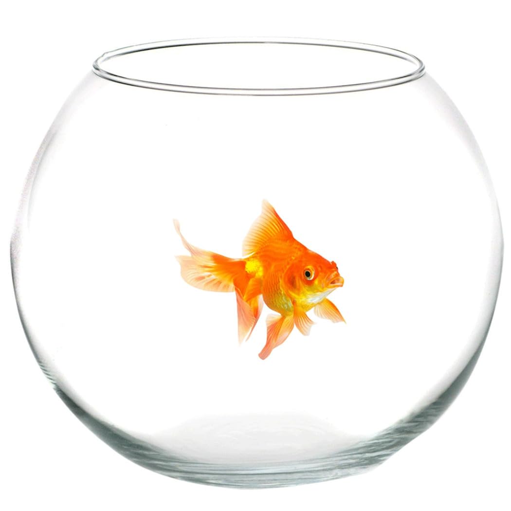 Trade Shop - Ampolla Boccia per Pesci in Vetro 30 Cm Acquario Pesce Rosso Centrotavola