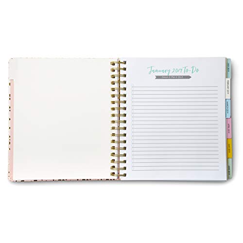 2020 Busy, 12 Month Daily Planners/Calendars: Tri-Coastal Design Planners with Monthly, Weekly and Daily Views - Personal Planner Notebook for Work or Home