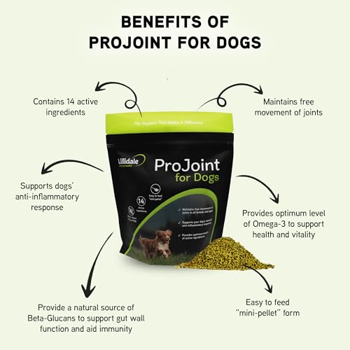 Lillidale ProJoint 500g - Joint Supplement for Dogs with Glucosamine and Chondroitin - Premium Anti-Inflammatory Support - Mobility - Hip & Joints - Soothes Stiffness - Dog Joint Supplement - Image 5