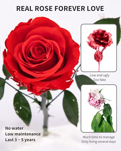 Image of Flowers for Delivery Prime, Preserved Roses Flower Gifts for Women, Real Roses Single Rose Presents for Her, Mom Birthday Gifts from Daughter, Valentines Flowers Red Rose