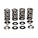 Kibblewhite Valve Spring Kit For 04-06 SUZUKI RMZ250