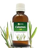 Calamus Oil (Acorus Calamus) Therapeutic Essential Oil by Salvia Amber Bottle 100% Natural Uncut Und