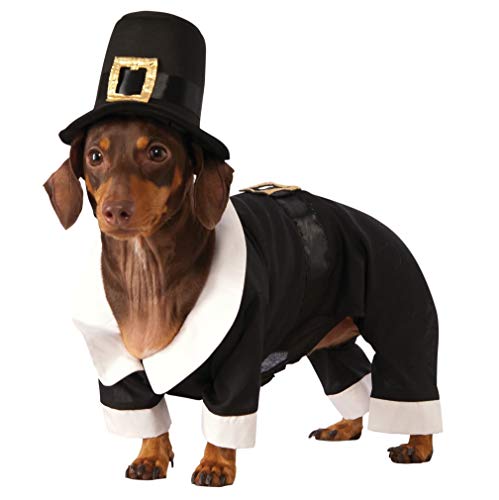 Pilgrim Boy Dog Costume, Medium
