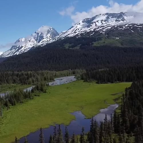 Skills Behind People Who Consistently Attract Opportunity (GNG Episode 115)