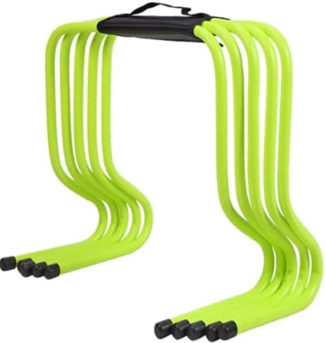 QueeningetFXs[hƕq̌ɖ𗧂~jn[h5ZbgB5̃ZNVɕĂ܂ByʂŎ^тɕ֗B[obOtB (23CM,O[)