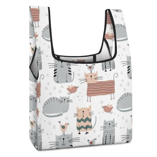 [EXDYNA] ܂肽 L GRobO e y ϋv RpNg  VbsOobO Wܑp ^ѕ֗ g[g^ JԂg ʋ ʊw s