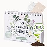 Der Wachsende Kalender KRÄUTERKÜCHE zeitlos I Bio Kräuter-Samen zum Einpflanzen I primoza pflanzbarer Kalender I Nachhaltiger Kalender mit 12 Samenstreifen I Samen-Kalender mit Bio-Saatgut DIN A5
