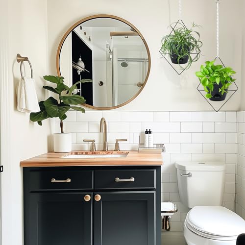 Koalaime Hanging Planters For Indoor Plants thumb #6