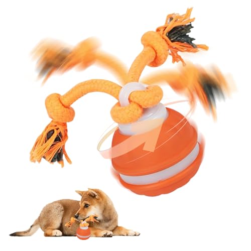 TZQFROCE Interaktives Hundespielzeug Hunde Ball Spielzeug Automatisch Rollender Ball für Hunde interaktiver Hundespielball für Aktivitäten und Unterhaltung