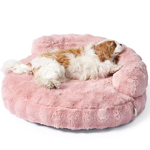 image for EHEYCIGA Medium Dog Bed and Large Cat Couch – Fluffy Faux Rabbit Fur