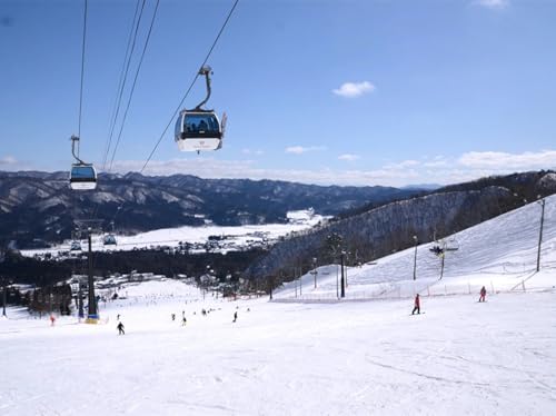 白馬村観光局 長野県エイブル白馬五竜&Hakuba47スキー場共通リフト券[大人1日券1枚][L0190277]