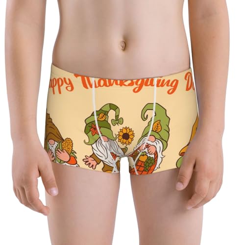 Boys' Cotton Boxer Brief Soft Underwear-Gnomes Happy Thanksgiving