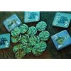 IELLO King of Tokyo Cthulhu Monster Game Pack