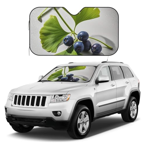 Pare-soleil ginkgo pour voiture protège votre habitacle de la chaleur lors des arrêts estivaux