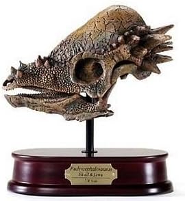 Pachycephalosaurus Skull Model 1/4 Scale