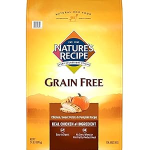 Natures Recipe Grain Free Easy to Digest Dry Dog Food with Real Meat Sweet Potato Pumpkin