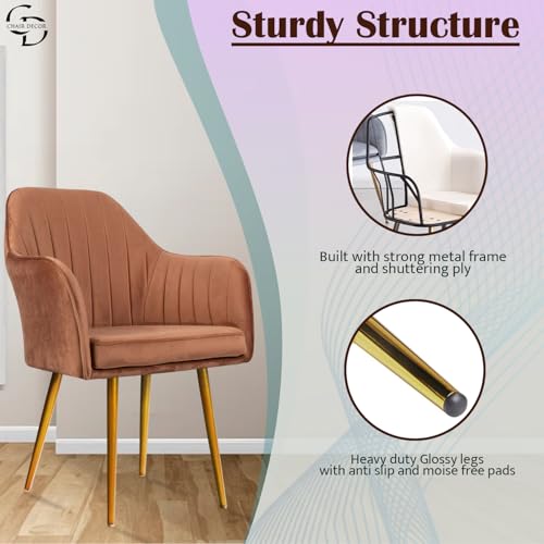 Image of Velvet Accent Chair | Luxury Upholstered Armchair with Sturdy Metal Legs | Modern Comfortable Chair for Living Room, Bedroom, Office, or Cafe (Golden Legs, Light Brown 2pc)